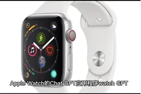 在Apple Watch上与ChatGTP对话