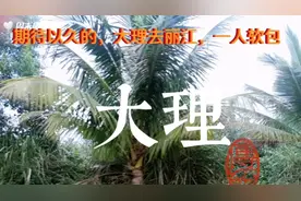 期待已久的大理去丽江，一人的软包！