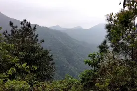 金线吊葫芦，葫芦底结穴