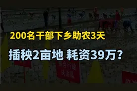 200名干部下乡助农3天,插秧2亩地花费49万?为何辟谣了但没人信？视频封面