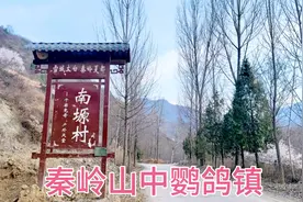 从西安坐大巴到太白县鹦鸽镇，太白山下的小镇很宁静，准备去爬山视频封面