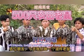 越南美食，大锅油炸500只农田老鼠，看到最后都想吃，你敢吃吗？视频封面