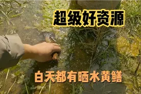 陌生环境找到好资源，今天教大家如何精准定位哪里有黄鳝视频封面