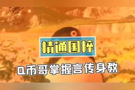 Q币哥😂😂