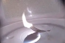 金属放进微波炉的，到底会有什么后果呢视频封面