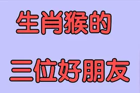 生肖猴的三位好朋友