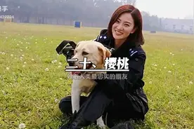 中国有20名狗狗是警犬