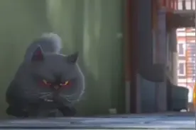 十二生肖爱情生肖鸡爱情开运小妙招生肖鸡和十二生肖搭配