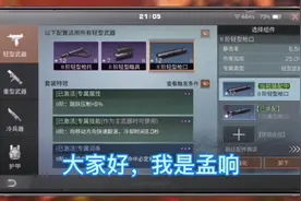 明日之后：配件等级