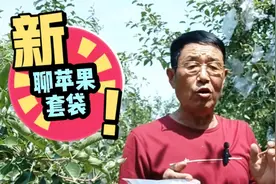苹果套袋有讲究，你知道吗？视频封面
