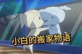 小新一家要搬往墨西哥，在风间与小新离别的背后视频封面