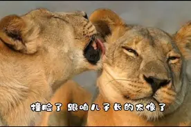 被爸妈吐槽长得像动物，真是亲爸妈视频封面