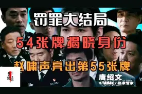罚罪：结局揭晓赵家54张保护伞身份，赵啸声亮出第55张牌视频封面