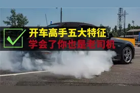 盘点开车高手都有的五大习惯，看看你占了几个？最后一个最难做到视频封面