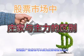 股票知识——一支股票中的庄家与主力的不同，必看！祝你提高认知视频封面