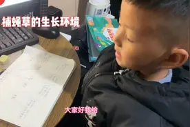 全方位介绍捕蝇草的生长环境