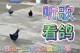 普通元宝和国系元宝你能分的清？来看了这个视频就知道了