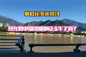 到达攀枝花米易县，又是个花园般的小城，中国县城都这么牛了吗？视频封面