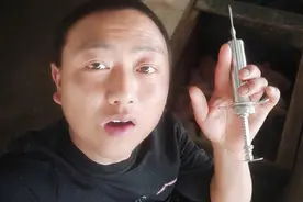 如何正确给猪打针，让猪不痛不跑，俗话说:方位不对，打针很累视频封面