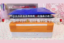 救命！快进来看！拼多多5元超好看的盘子杯子！平价实用颜值高！视频封面