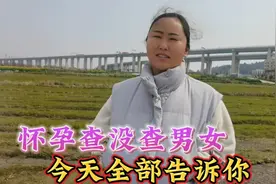 很多人问我怀孕查没查男女，今天全部告诉你视频封面