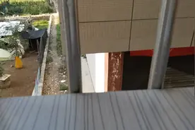 五体右手上居然会有颗痣