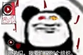 兄弟们，我创建了一个组织。😘视频封面