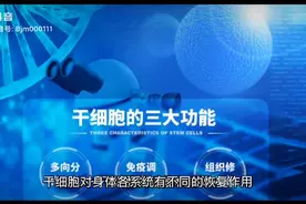 干细胞的作用与功效视频封面