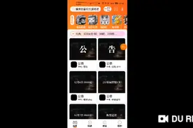 233乐园玩不了了