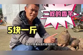 彪哥的二叔今天卖芋头，3.5元一斤批发给老板，这价格怎么样贵吗视频封面