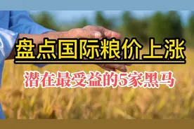 盘点粮食危机潜在最受益的5只黑马视频封面