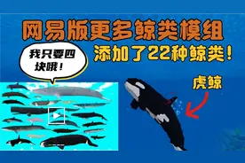 我的世界手机网易版更多鲸鱼和海豚模组：让大海变得多姿多彩！