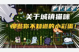 泰拉瑞亚关于城镇宠物 猫咪你不知道的彩蛋！