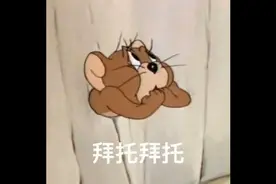 微信聊天必备斗图表情包视频封面