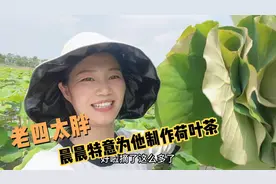 晨晨采摘新鲜荷叶制作荷叶茶，特意泡给老四喝，老四这表情真到位视频封面