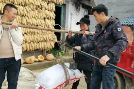 蔡伟和邻居去彝区买土豆，彝族种的土豆又大又好，看看多少钱一斤视频封面