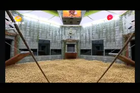 疯狂的麦咭所有密室（1）