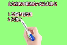 山东泰安市最强的六家企业排名视频封面
