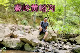秦岭黄峪沟，周末在河边搭帐篷睡吊床的人很多，真是避暑好地方视频封面