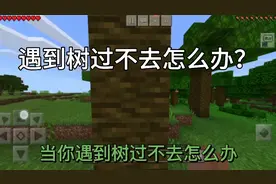 如果你遇到树过不去怎么办？视频封面