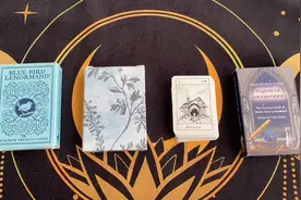 【猫里里】保姆级雷诺曼新手选牌小贴士如何选择雷诺曼