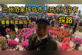 兰州范家坪鸟市，开市了没有，看看有卖麻鸟子的没有，棎路。视频封面