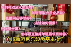 肥波手把手教你玩转618购物节：撸酒撸货基本操作（京东领劵篇）视频封面