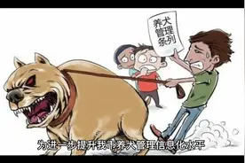 养狗的注意！天津市将启用新版养犬登记证和犬牌视频封面