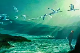 我不禁大吃一惊，难道在动物的眼中人类真的这么坏吗？视频封面