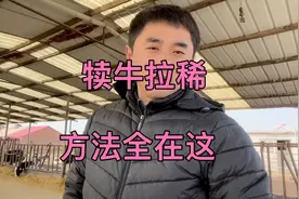 犊牛拉稀，各种拉稀怎么治疗，进来看一下