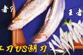 江刀和湖刀同属刀鱼，一个几千一斤一个几十一斤，为何差距如此大