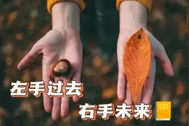摊开你的双手视频封面