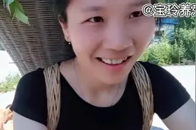 封闭式猪场我坚持割草喂猪，与🐖有关系就没得空闲，看了还敢养吗视频封面