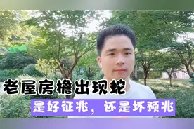 老屋房檐出现蛇，是好征兆、还是坏预兆，各位路神拿个主意视频封面